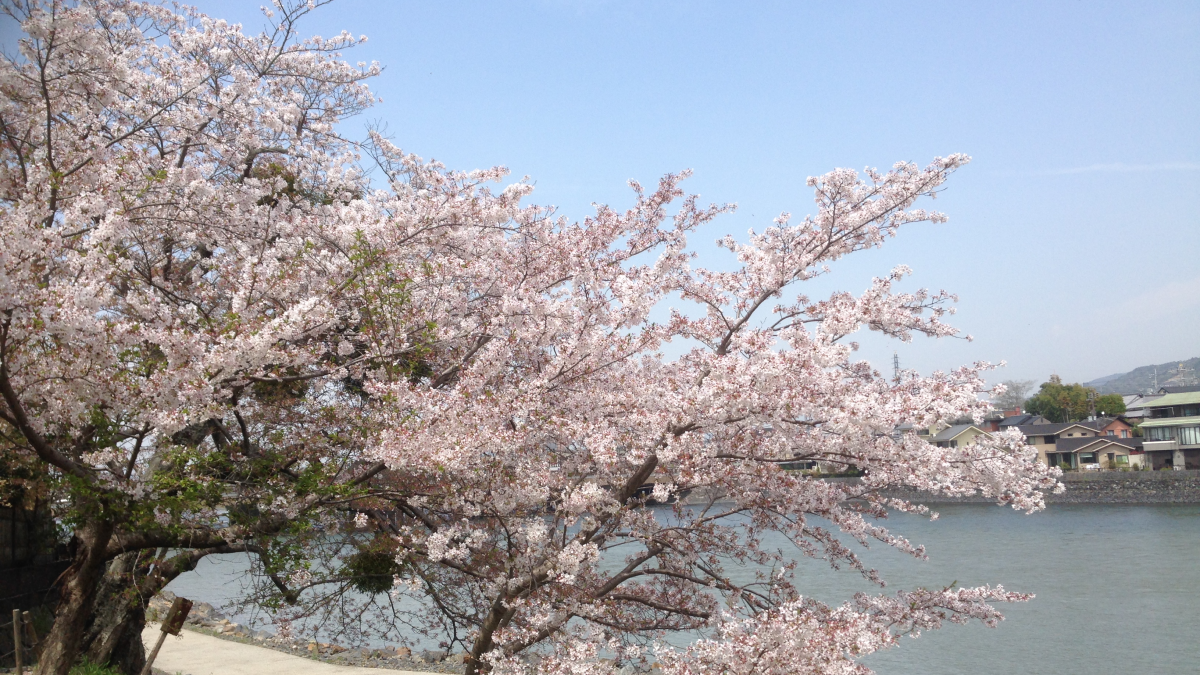 byodoin-2